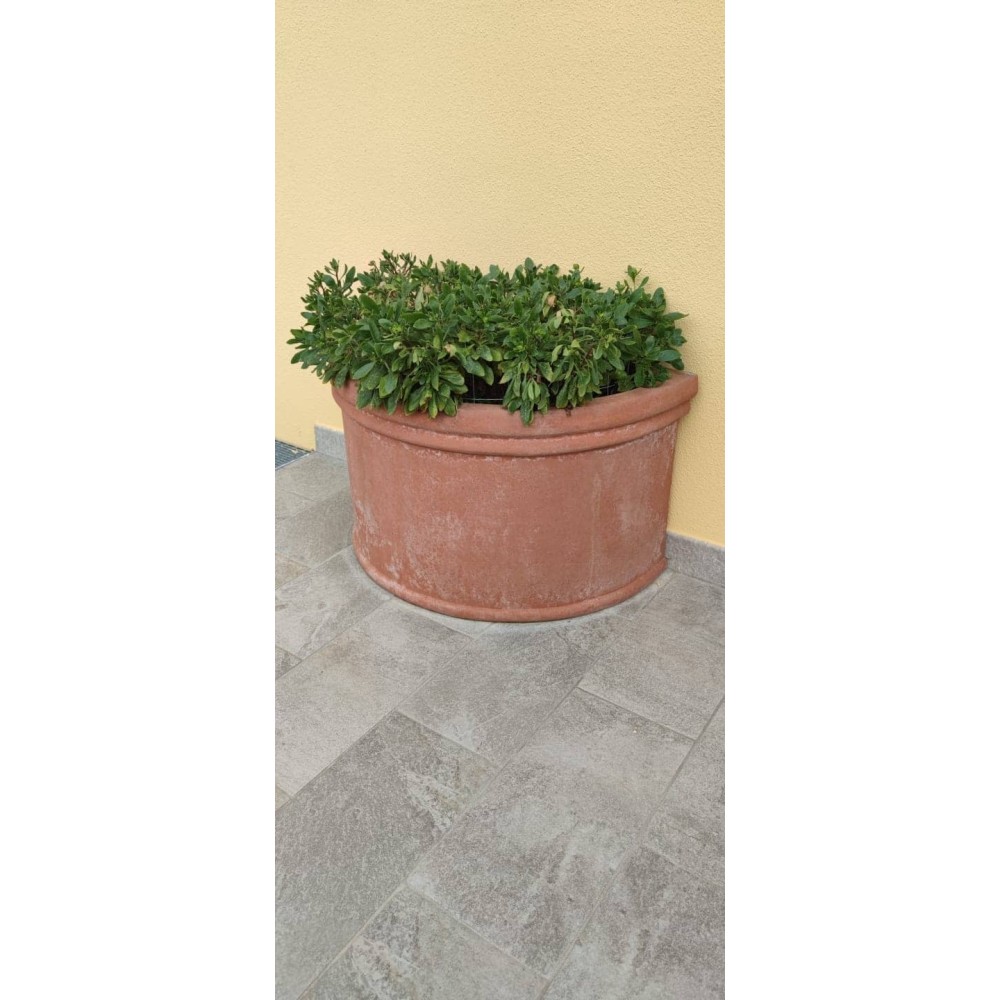 Wall Vase with Impruneta Terracotta Rim